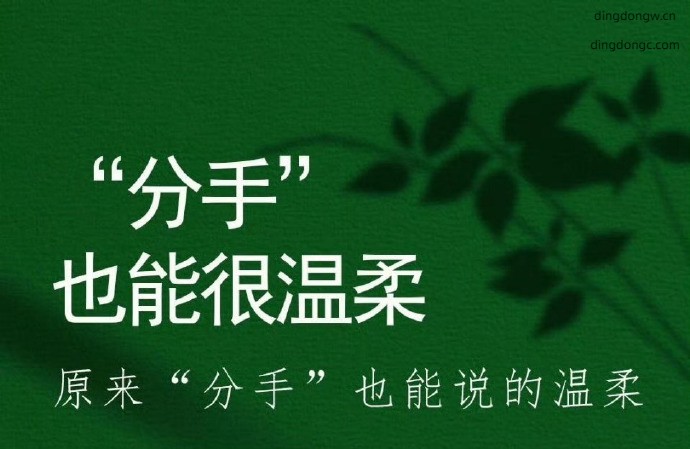 妈妈呀，这分手的理由，好婉转呀
